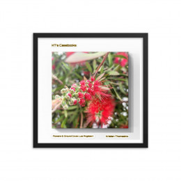 KTCB-GCLAII-9 KT's Casebook, Ground Cover and Flowers, Los Angeles II, KTCB-GCLAII-9 Framed poster