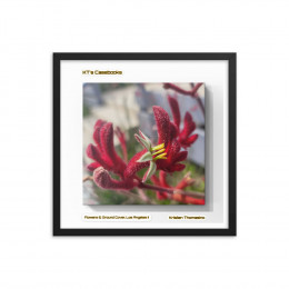 KTCB-GCLAII-29 KT's Casebook, Ground Cover and Flowers, Los Angeles II, KTCB-GCLAII-29 Framed poster