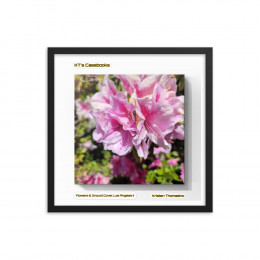 KTCB-GCLAII-43 KT's Casebook, Ground Cover and Flowers, Los Angeles II, KTCB-GCLAII-43 Framed poster