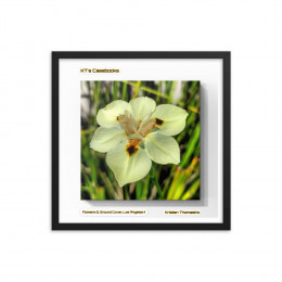 KTCB-GCLAII-52 KT's Casebook, Ground Cover and Flowers, Los Angeles II, KTCB-GCLAII-52 Framed poster
