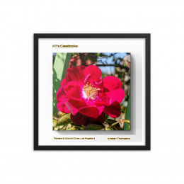KTCB-GCLAII-63 KT's Casebook, Ground Cover and Flowers, Los Angeles II, KTCB-GCLAII-63 Framed poster