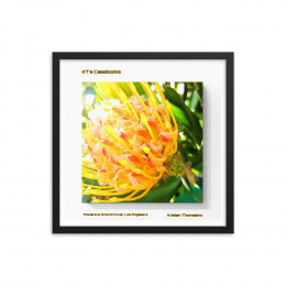 KTCB-GCLAIII-29 KT's Casebook, Ground Cover and Flowers, Los Angeles III, KTCB-GCLAIII-29 Framed poster