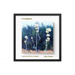 KTCB-GCLAIII-67 KT's Casebook, Ground Cover and Flowers, Los Angeles III, KTCB-GCLAIII-67 Framed poster